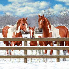 Схема вышивки «Лошади»