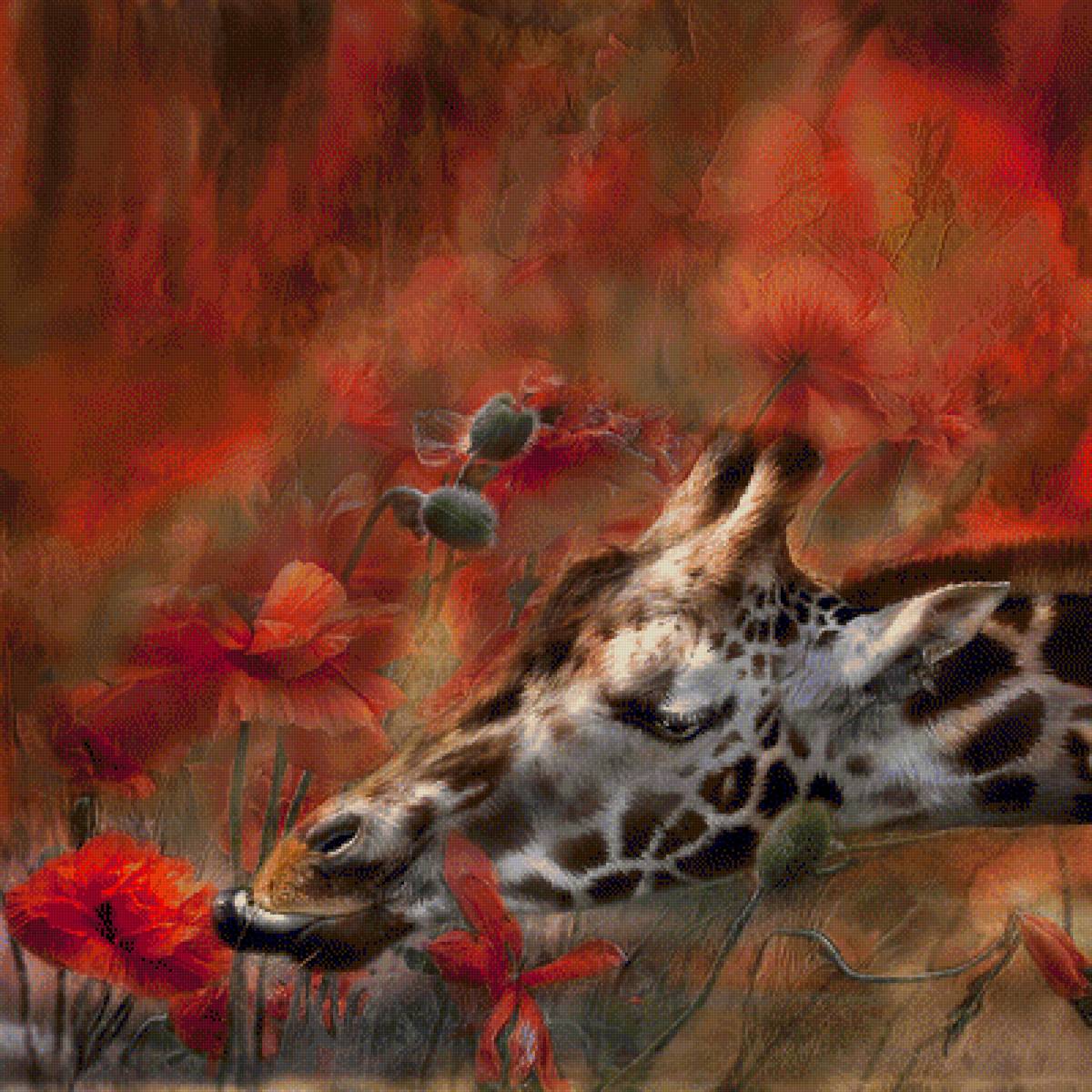 ЖИРАФ И МАКИ - животные, by carol cavalaris - предпросмотр