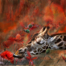 Схема вышивки «ЖИРАФ И МАКИ»