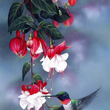 Схема вышивки «Колибри»