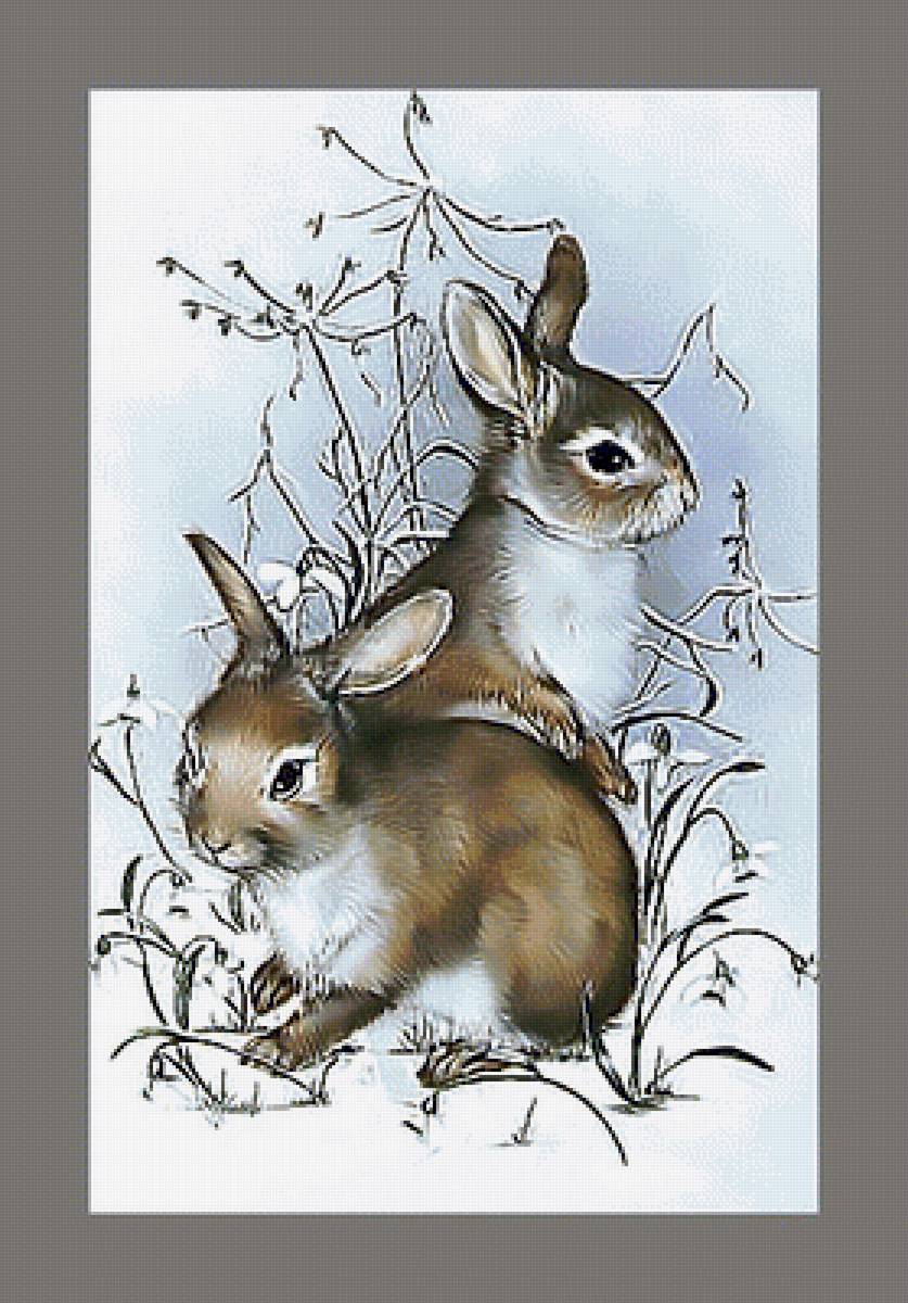 Серия "Зайцы-кролики" - зайцы, животные - предпросмотр