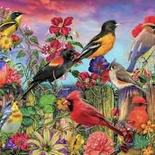 Схема вышивки «Яркие птички»