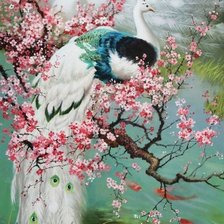 Схема вышивки «ПАВЛИНИ»