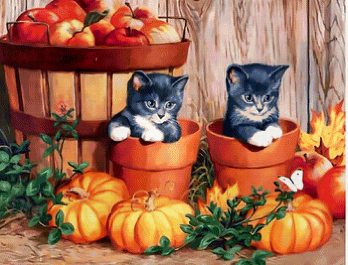 Котята - маленькие котята игра прятки яблоки тыква - предпросмотр