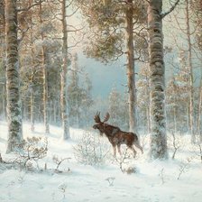 В ЗИМНЕМ ЛЕСУ