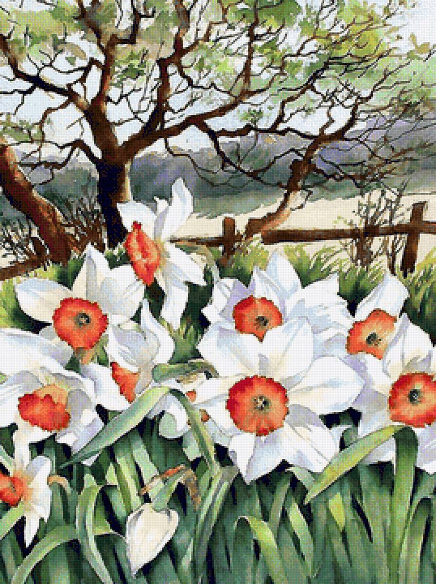 акварель - предпросмотр