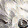Предпросмотр схемы вышивки «рисунок» (№1919855)
