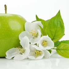 Схема вышивки «Зелёное яблоко»