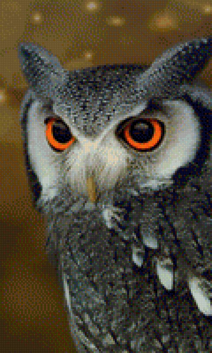 сова - предпросмотр