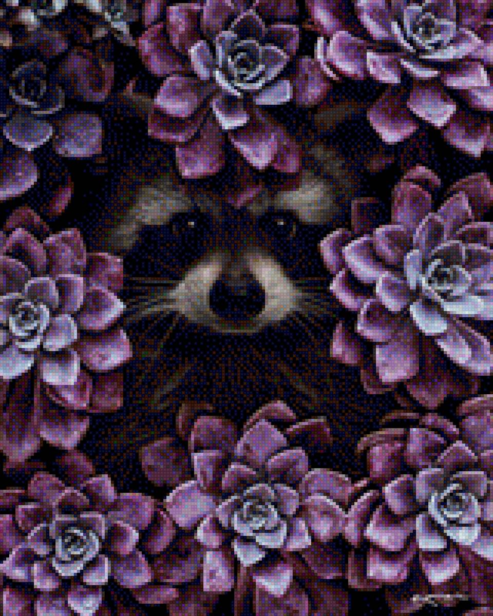 енот - предпросмотр