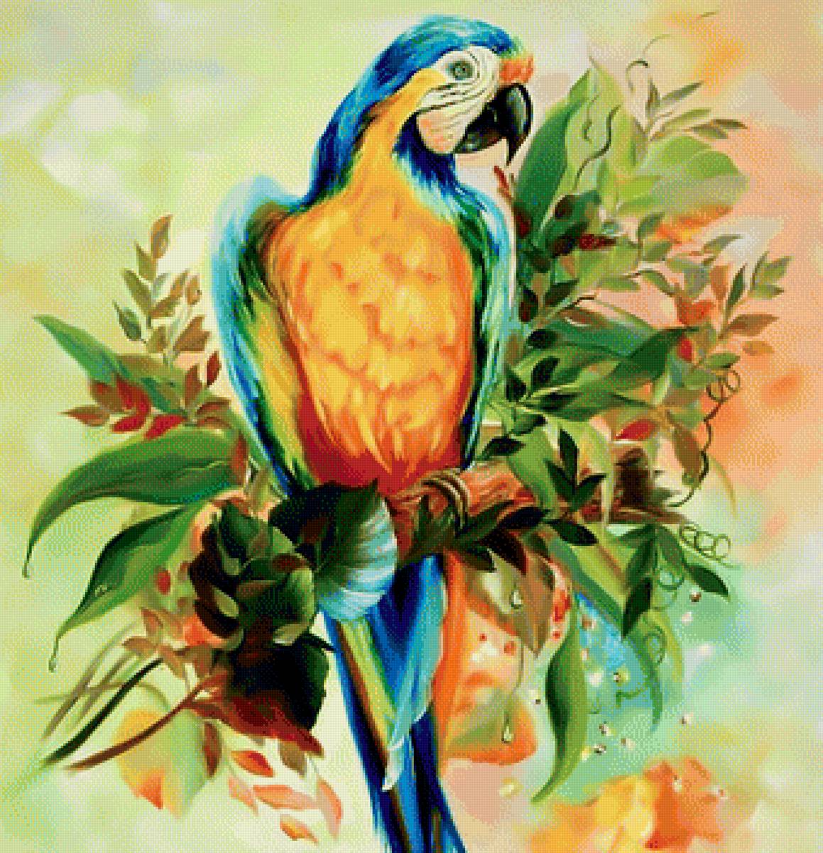 Попугай - попугай - предпросмотр