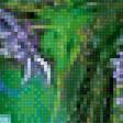 Предпросмотр схемы вышивки «Синие попугаи» (№1920244)