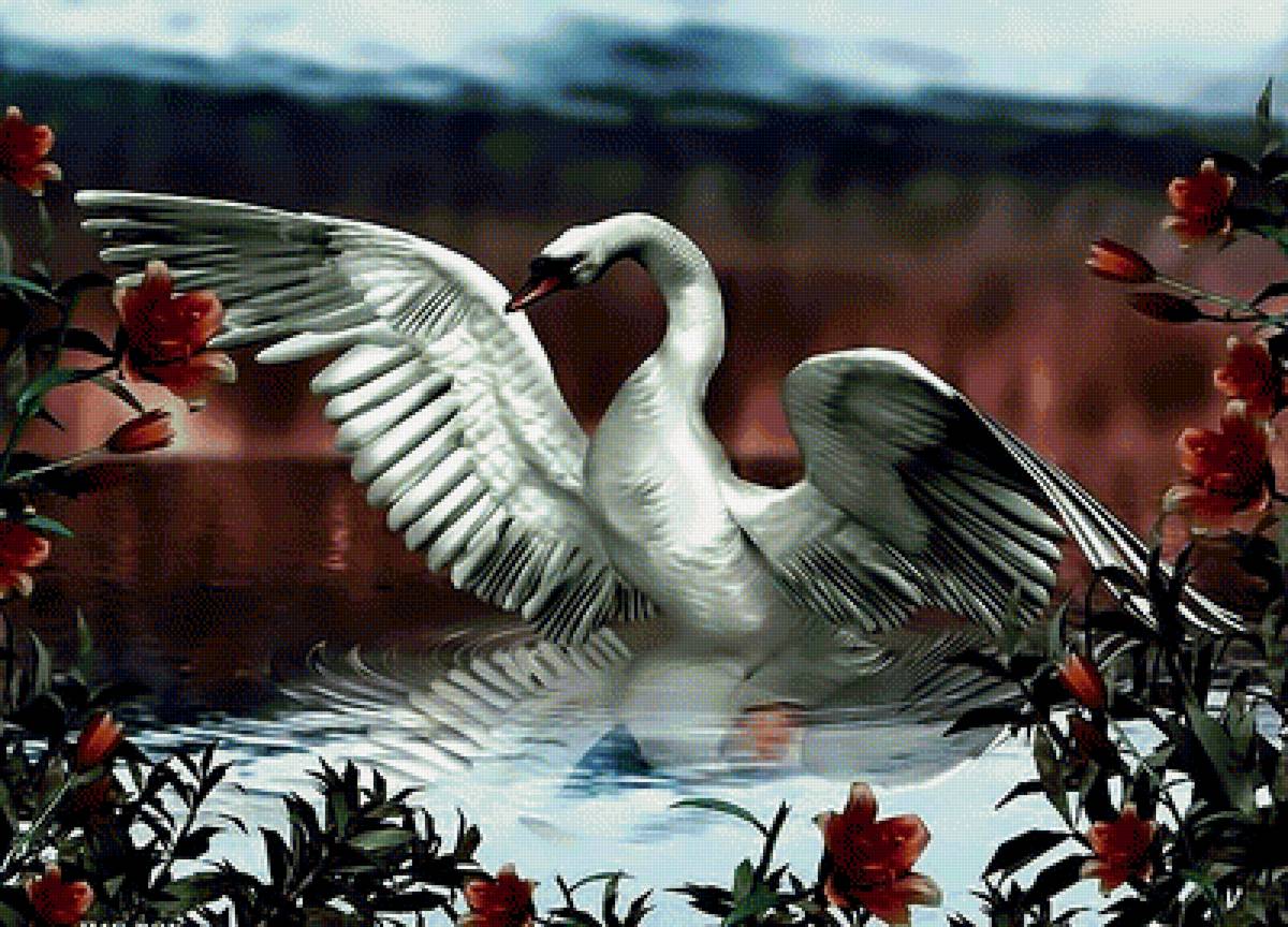 Белый лебедь - белый лебедь - предпросмотр