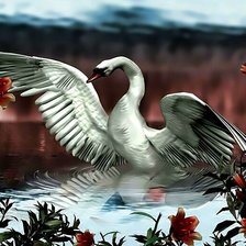 Схема вышивки «Белый лебедь»