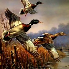 Схема вышивки «Утки»