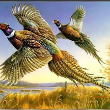 Схема вышивки «Дикие птицы»