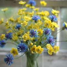Схема вышивки «васильки купальницы»
