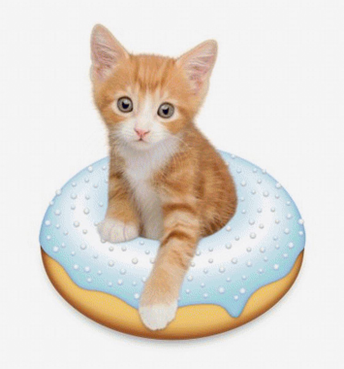 cat gattino - cat gattino - предпросмотр