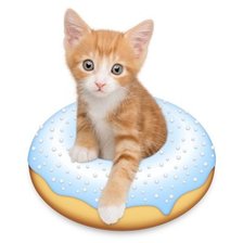 Схема вышивки «cat gattino»