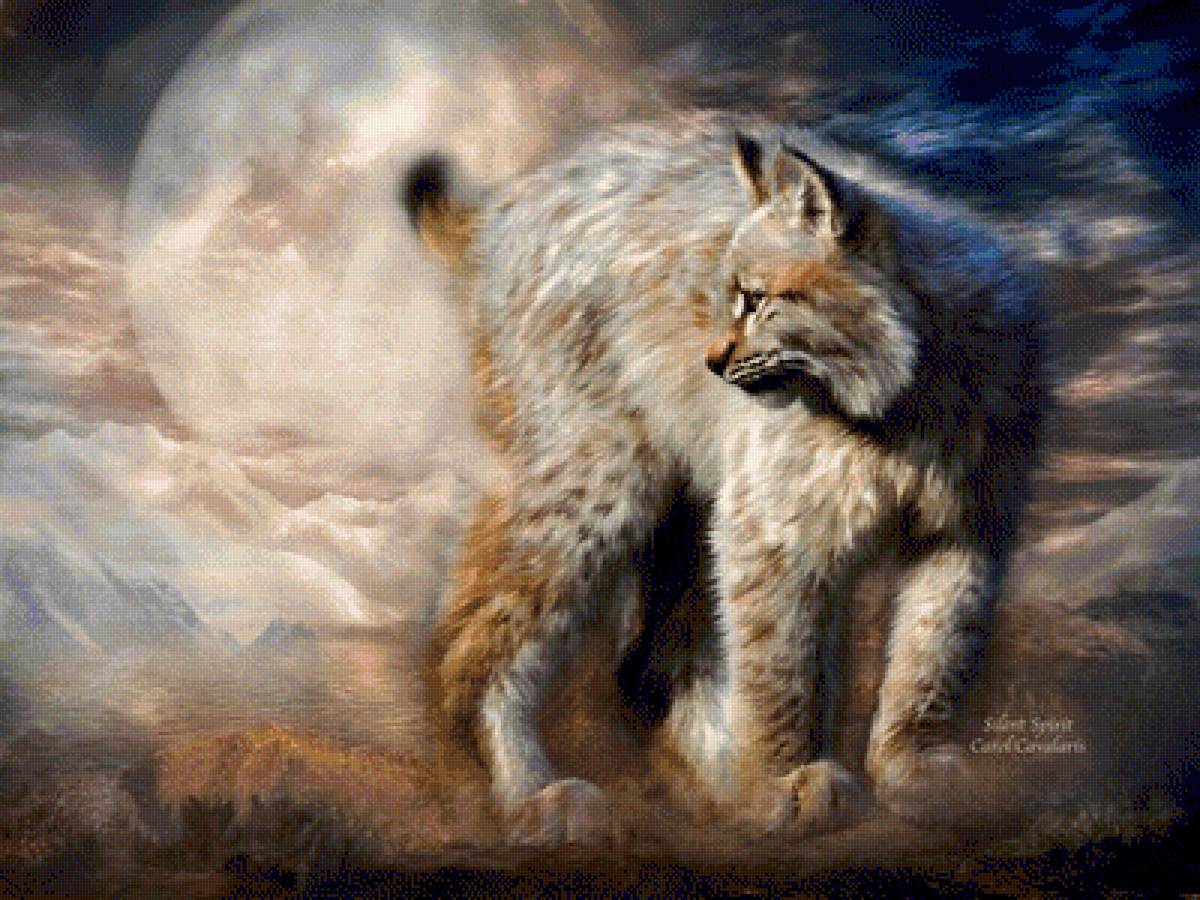 РЫСЬ - природа, carol cavalaris, дикие животные - предпросмотр