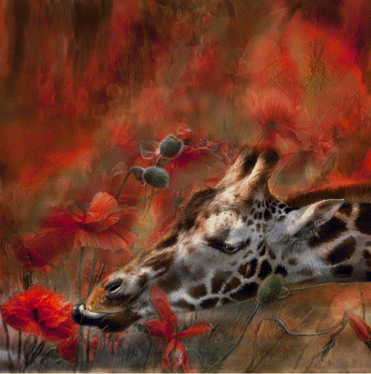 ЖИРАФ И МАКИ - животные, carol cavalaris, природа - предпросмотр