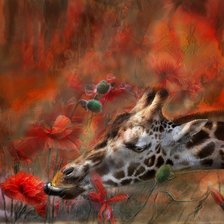 Схема вышивки «ЖИРАФ И МАКИ»