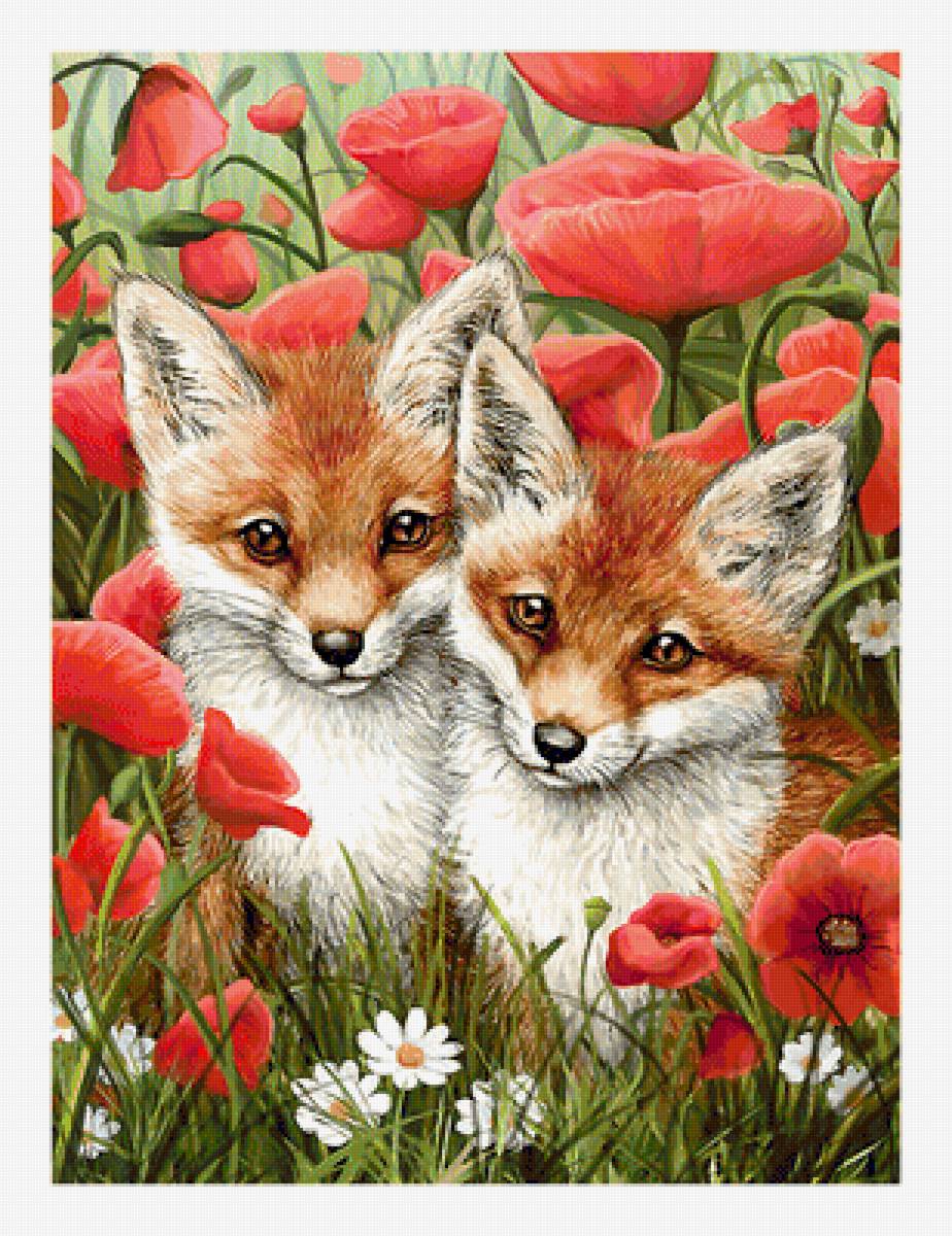 Серия "Лисы" - животные, лисята - предпросмотр