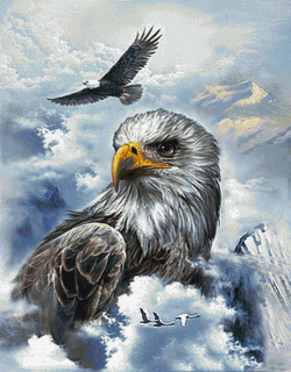 Орел - горы, природа, орел, птицы - предпросмотр