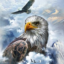 Схема вышивки «Орел»