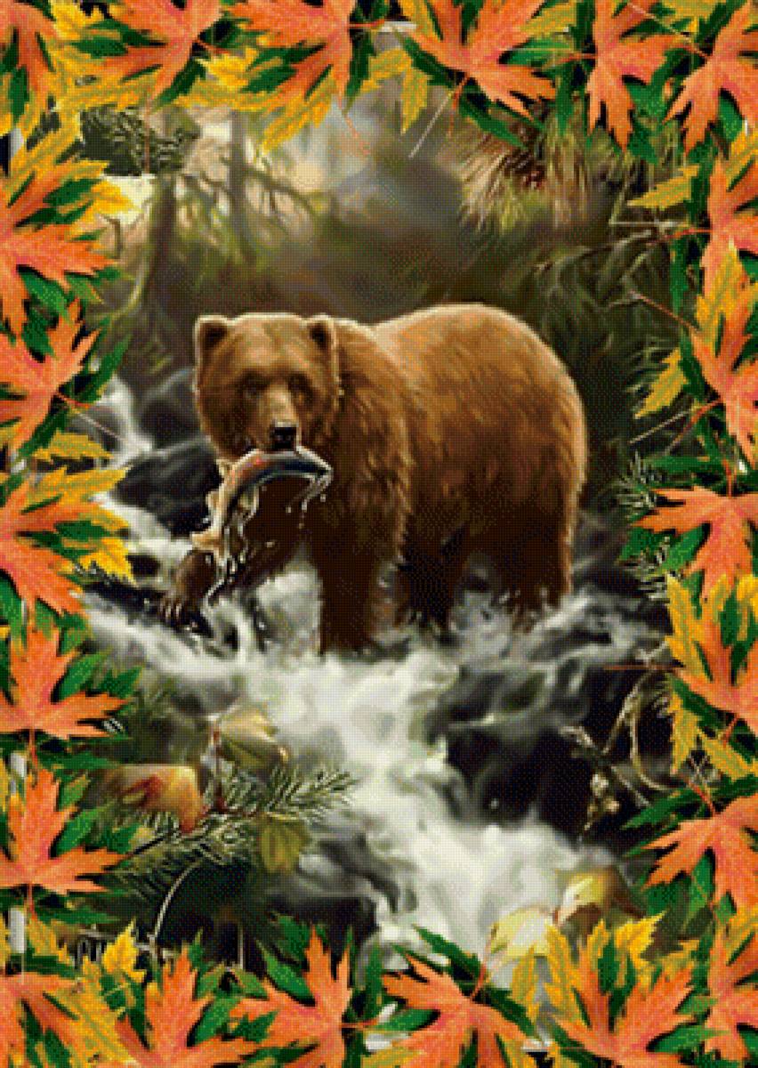 Удачливый охотник2 - медведь бурый рыба рыбалка природа пейзаж - предпросмотр