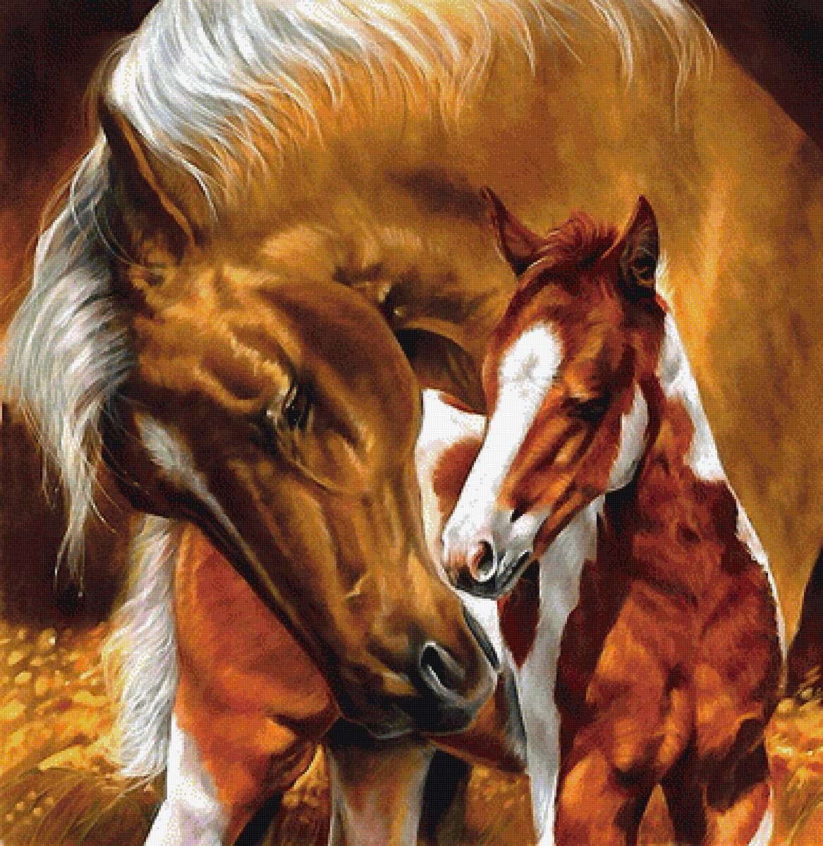 лошади - мир животных - предпросмотр