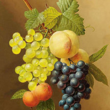 Схема вышивки «Натюрморт.»