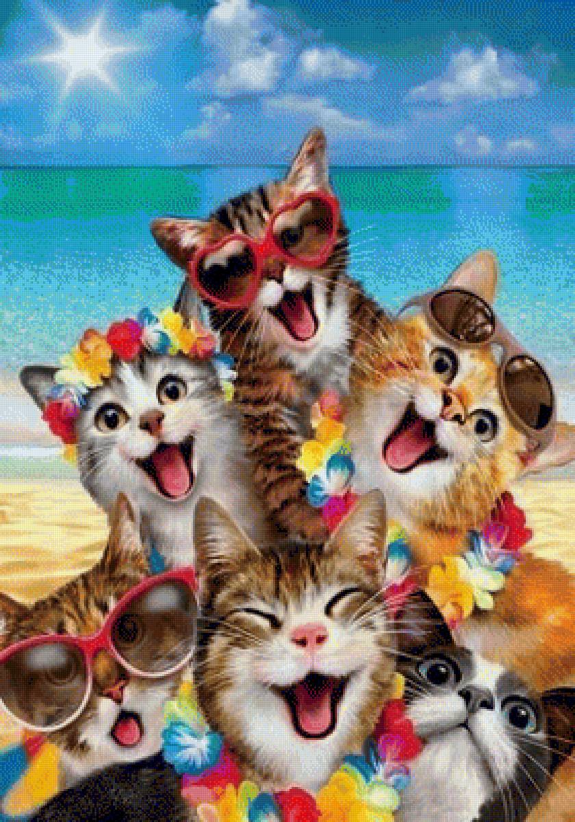Gatti selfie mare - animal - предпросмотр