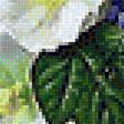 Предпросмотр схемы вышивки «№1920980»