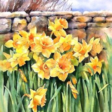 Схема вышивки «акварель»