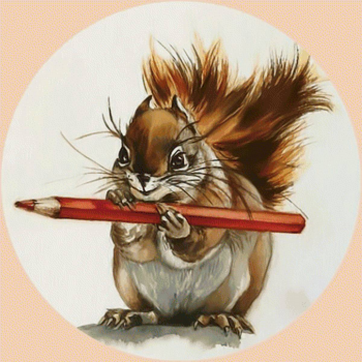 Белка с карандашом - рыжая белка карандаш - предпросмотр