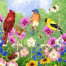 Схема вышивки «Яркие птички»