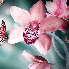 Схема вышивки «№1921453»