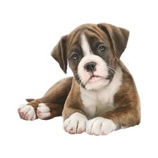 Схема вышивки «№1921993»