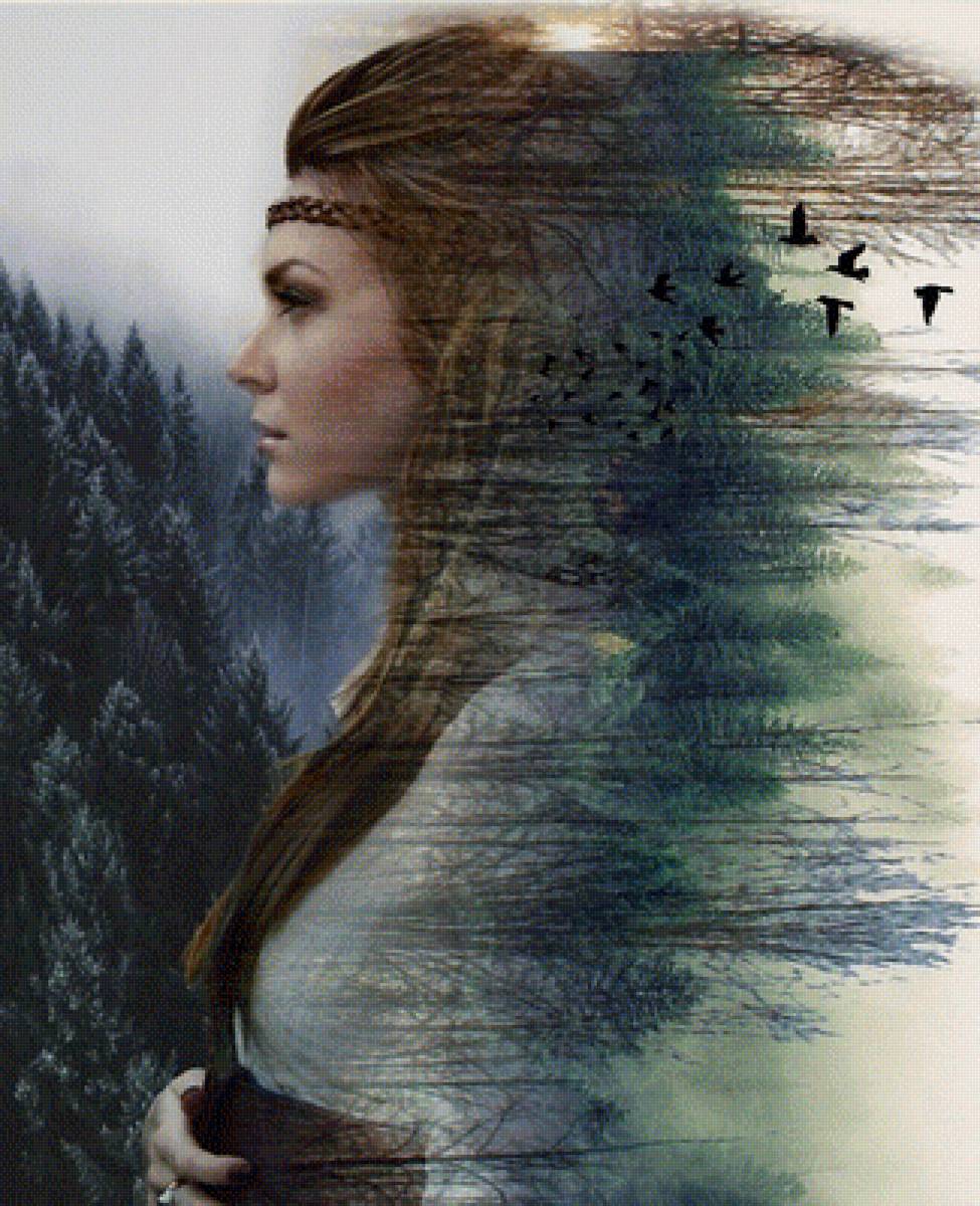 №1922096 - предпросмотр