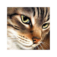 Схема вышивки «Серия "Коты".»