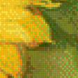 Предпросмотр схемы вышивки «ПОДСОЛНУХИ» (№1922389)