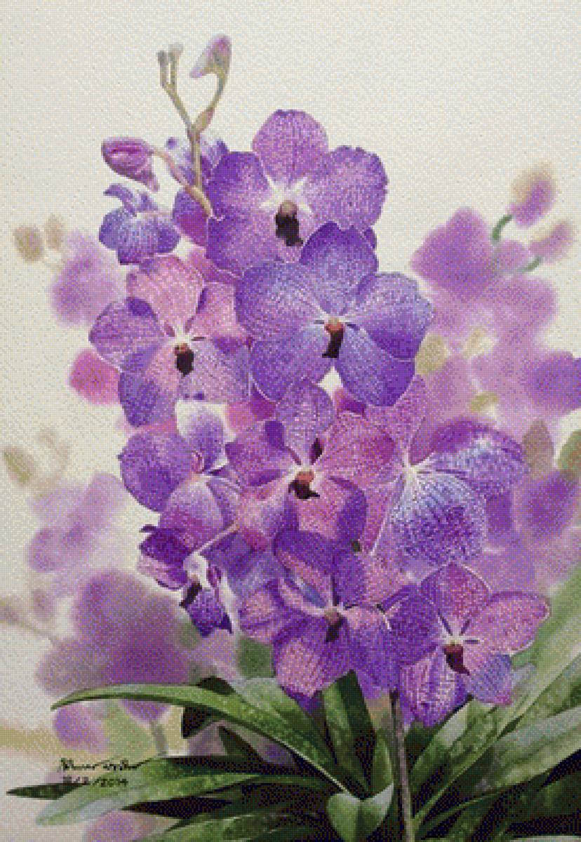 ОРХИДЕЯ - орхидея - предпросмотр