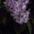 Предпросмотр схемы вышивки «сирень» (№1922576)
