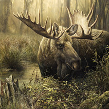 Схема вышивки «СЮЖЕТ»