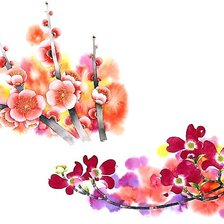 Схема вышивки «акварель»