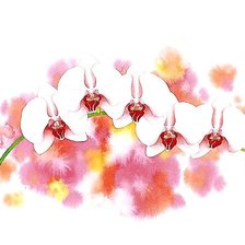 Схема вышивки «акварель»