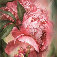 Схема вышивки «ПИОНЫ»