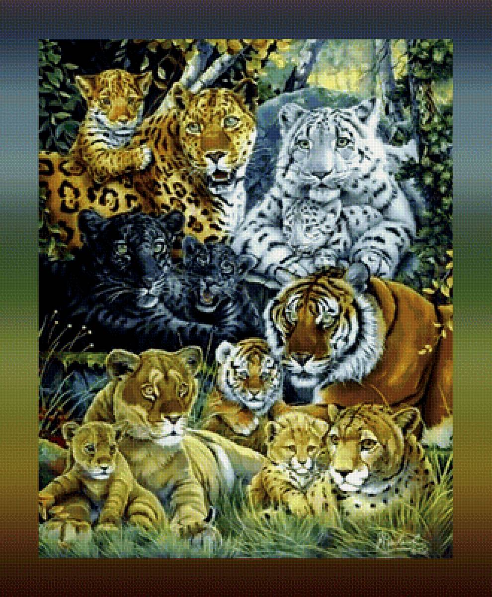 Гордость больших котов2 - хищники - предпросмотр