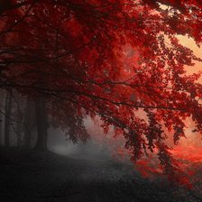 Схема вышивки «осенний лес»